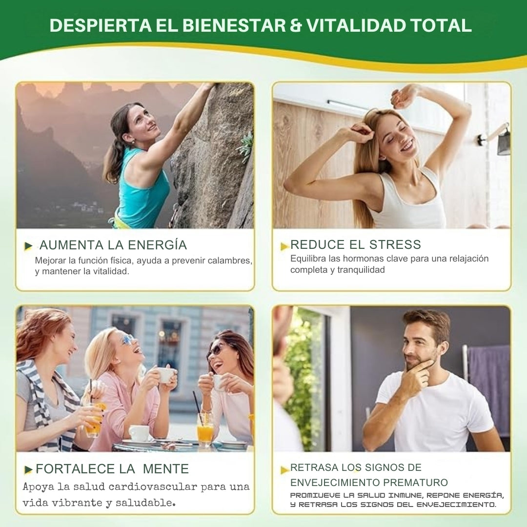 Energía y Juventud NAD